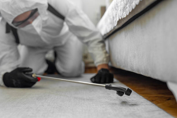 Professional Bed Bug Control technician working in Shenandoah, LA
