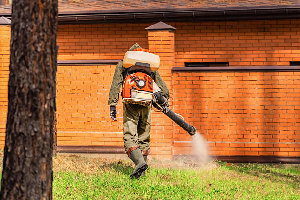 Trusted Ant Control service in Shenandoah, LA - Nex Pest Control